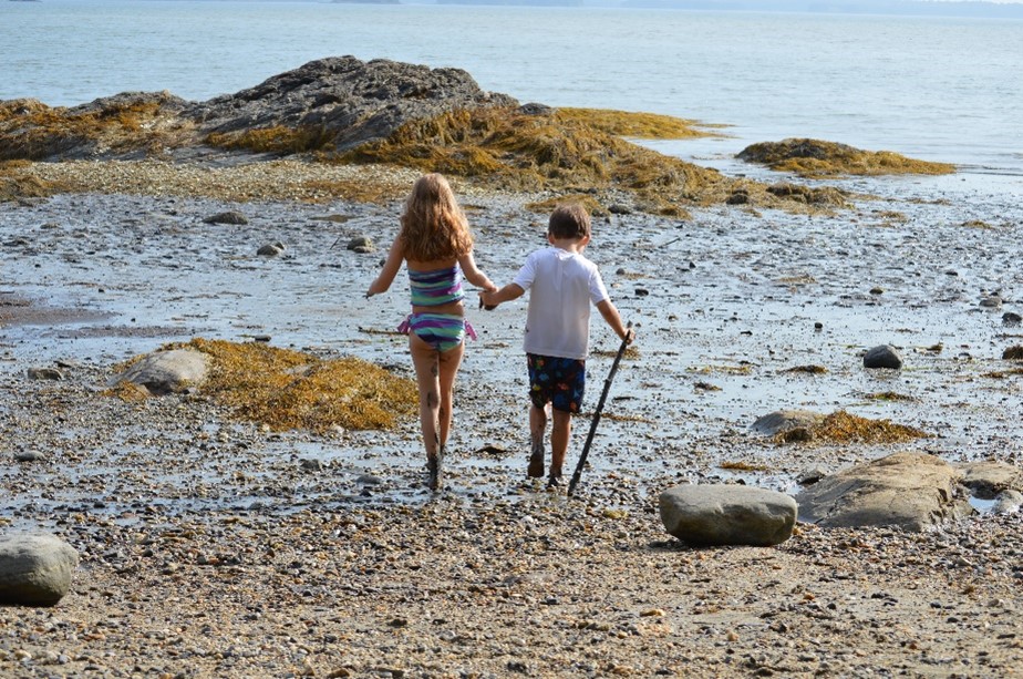 Owner's children walking hand in hand to water on Maine beach.