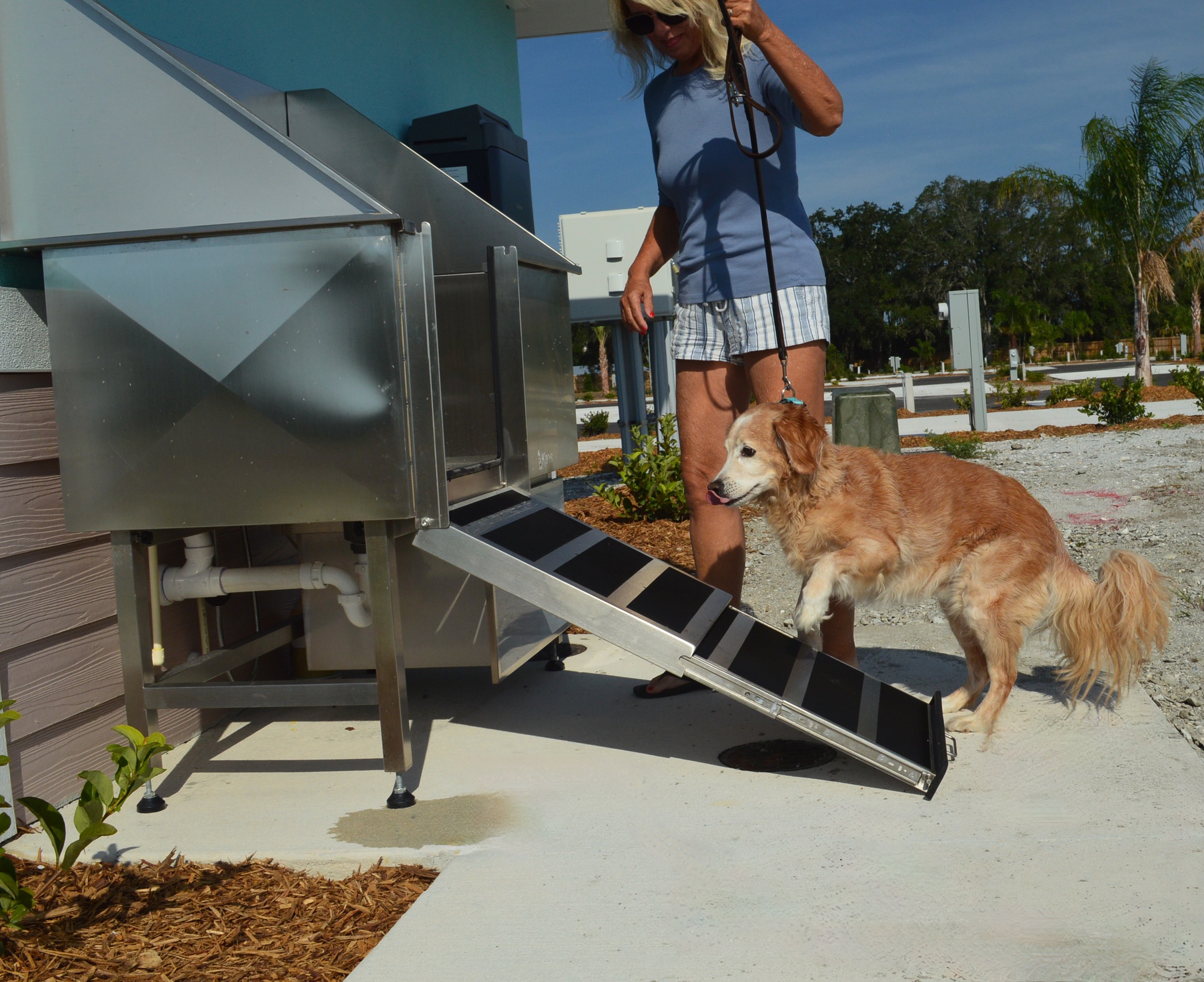Leo the dog walking up ramp of dogwash station