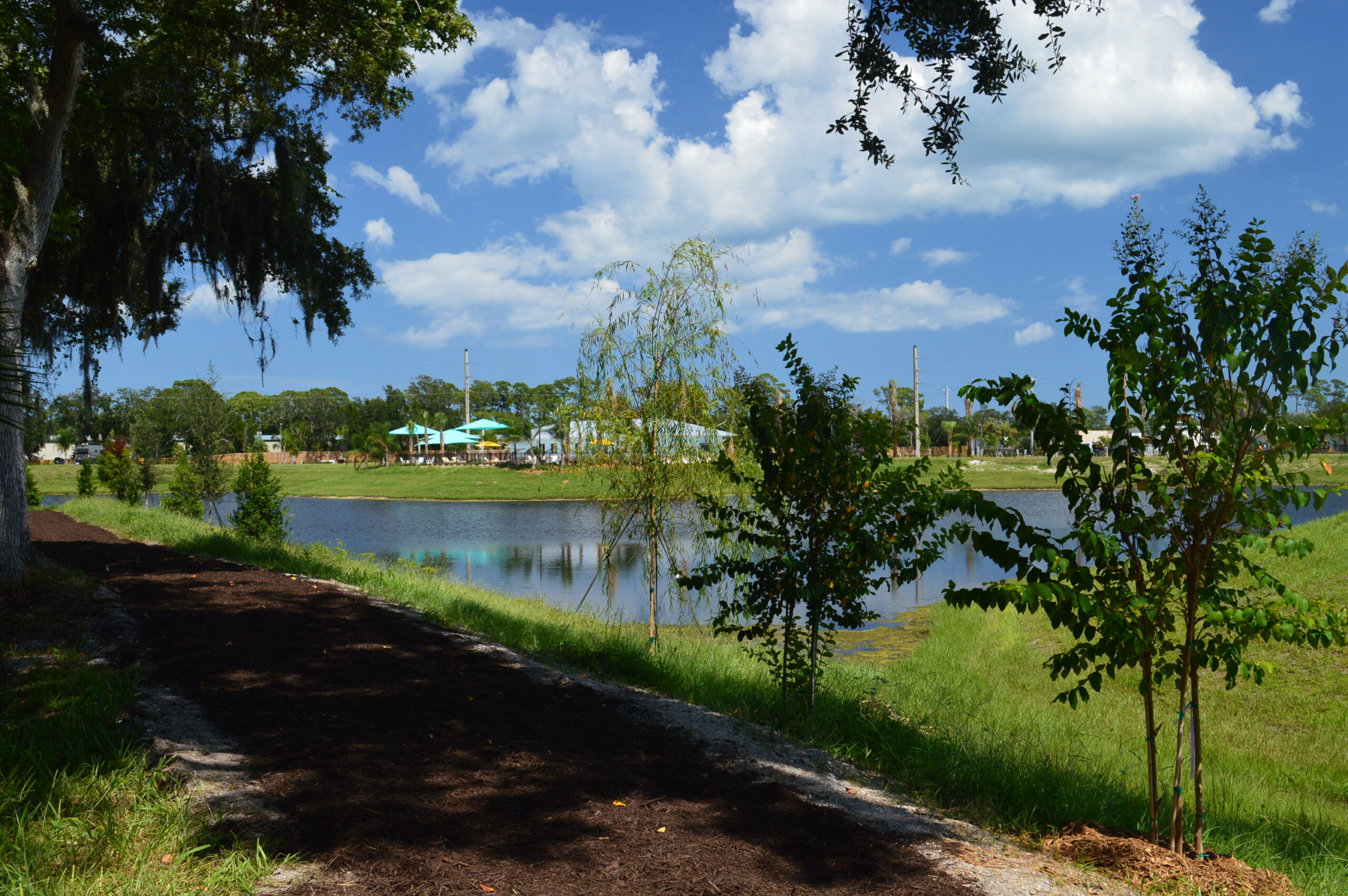 Nature walking trail